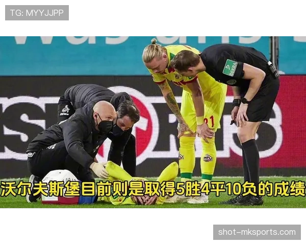 德甲沃尔夫斯堡球迷狂热