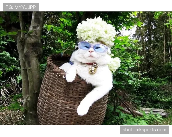 巴洛特利今天又穿得比我家猫还奇葩，这造型也太敢了吧！